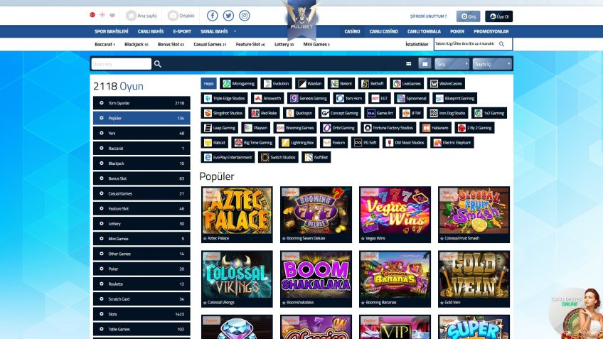 PULIBET CASINO